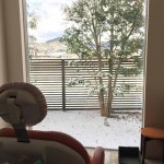 予防歯科 雪の日
