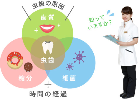 虫歯の原因 歯質・糖分・細菌＝時間の経過