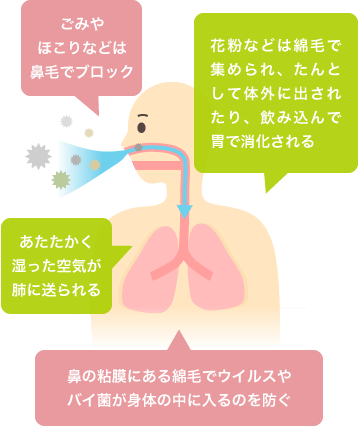 鼻呼吸のメリット