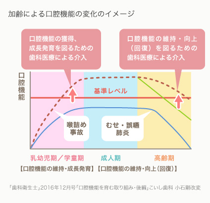 加齢による口腔機能の変化のイメージ