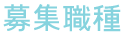 募集職種