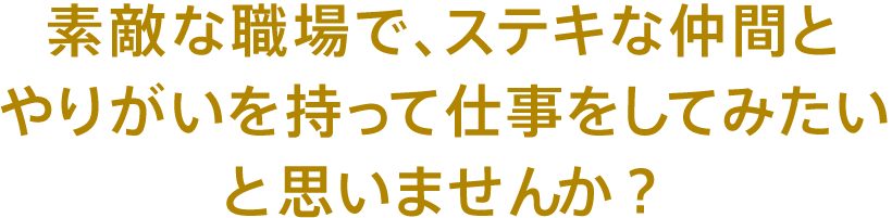 素敵な職場で、ステキな仲間とやりがいを持って仕事をしてみたいと思いませんか？